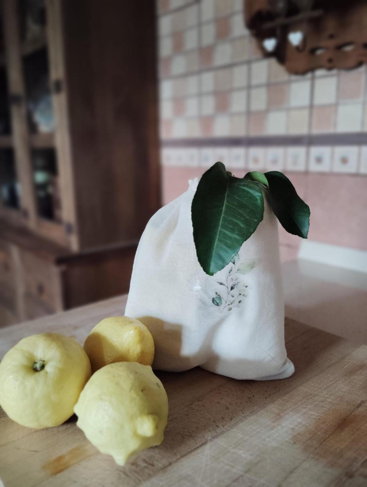 El Limonero Villa Arenas De Iguna Ngoại thất bức ảnh