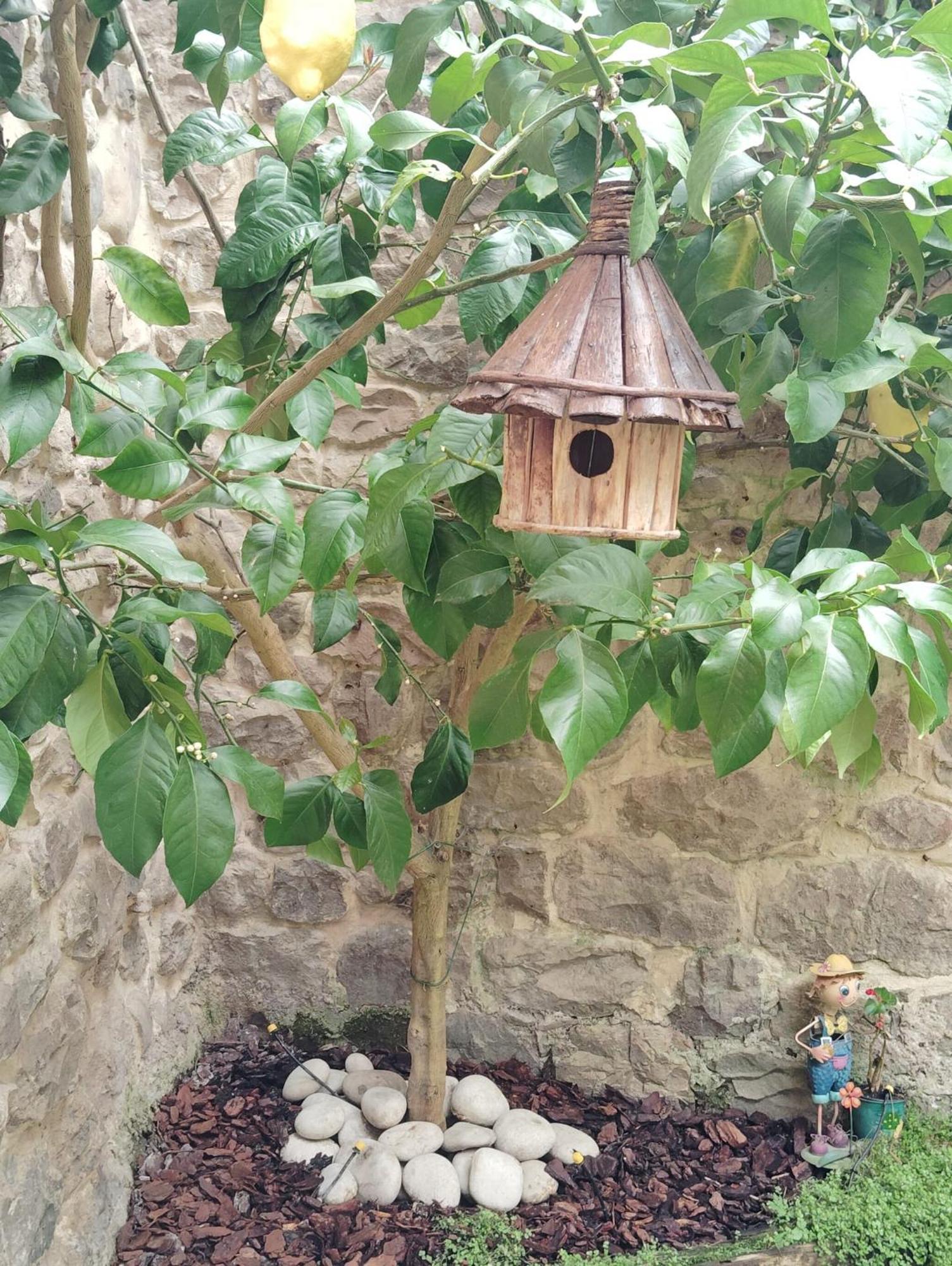 El Limonero Villa Arenas De Iguna Ngoại thất bức ảnh